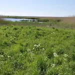 13310-vig-kongepartens-strandvej-42 *