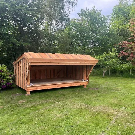 Hébergement de vacances 13310-vig-kongepartens-strandvej-42 *