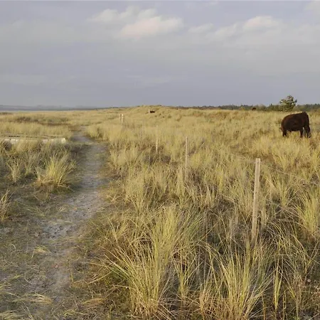 13310-vig-kongepartens-strandvej-42 *